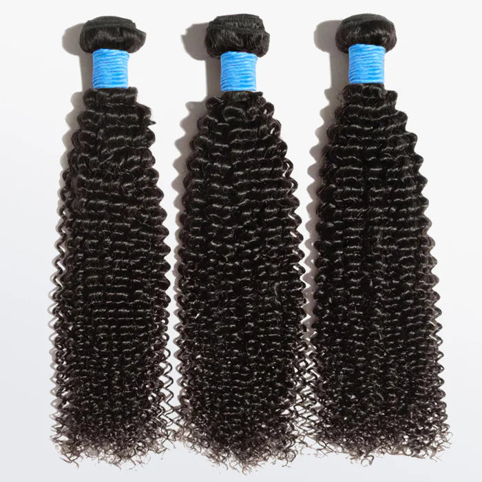 Bailey Hair Company 10-30 Inch Kinky Curly Virgin Brazilian Hair #1B Natural Black