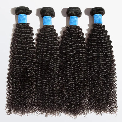 Bailey Hair Company 10-30 Inch Kinky Curly Virgin Brazilian Hair #1B Natural Black